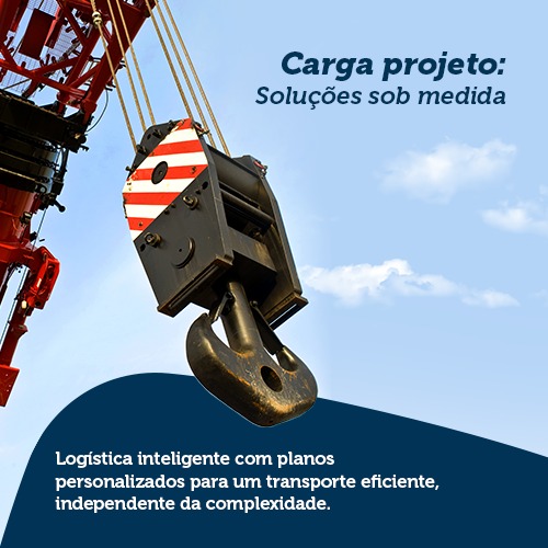 Carga Projeto